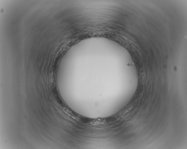 X0000070250756200606301625