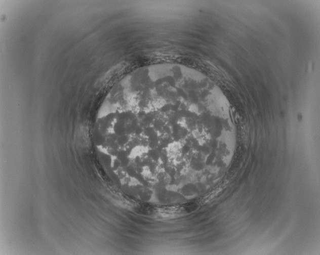 X0000070250757200606301625