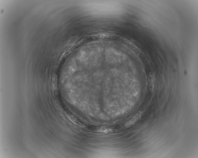 X0000070250760200606301625