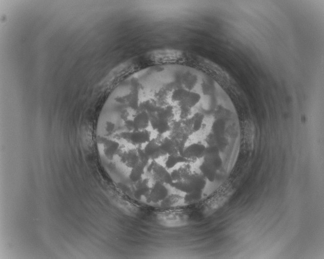 X0000070250761200606301625