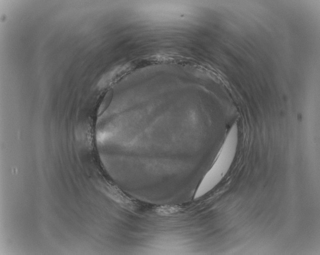 X0000070250762200606301625