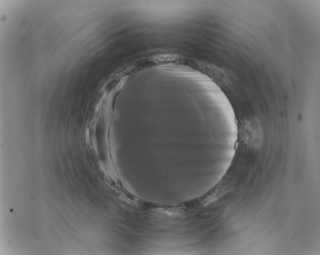 X0000070250763200606301626