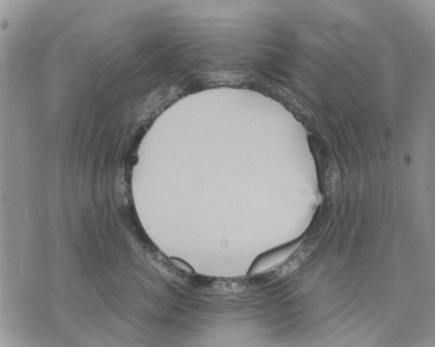 X0000070250764200606301626