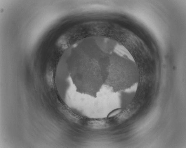 X0000070250765200606301626