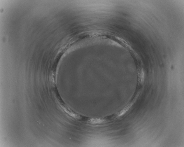 X0000070250766200606301626