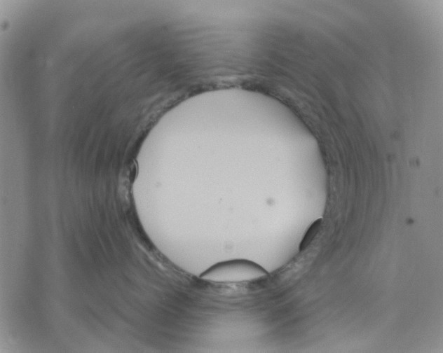 X0000070250768200606301626