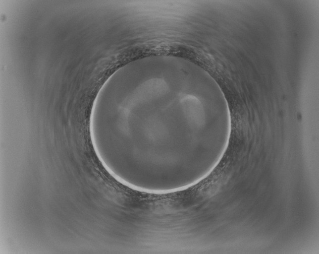 X0000070250769200606301625