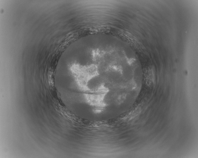 X0000070250770200606301625