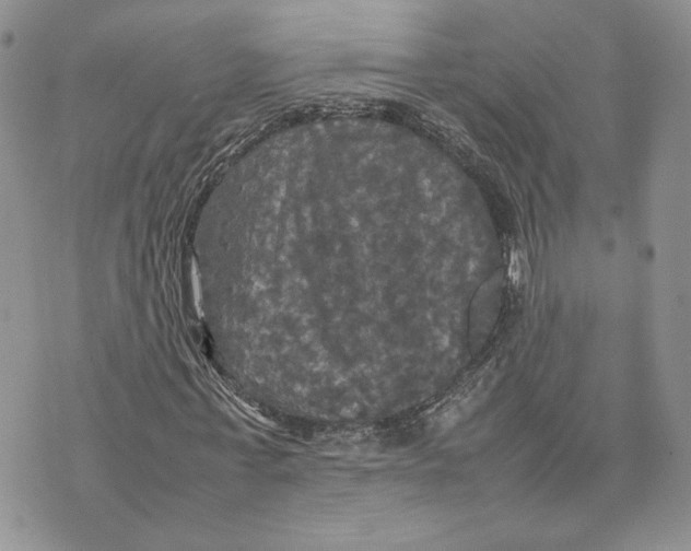 X0000070250771200606301625