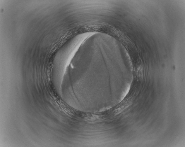 X0000070250772200606301625