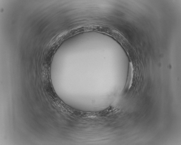 X0000070250773200606301625