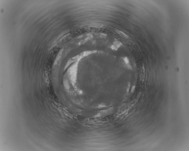 X0000070250774200606301625