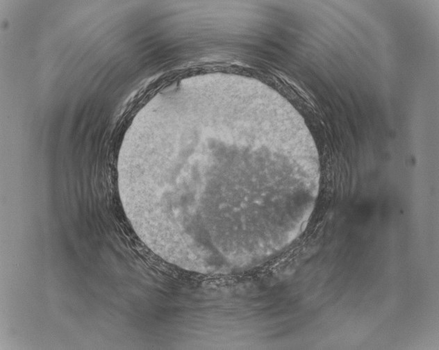 X0000070250776200606301625