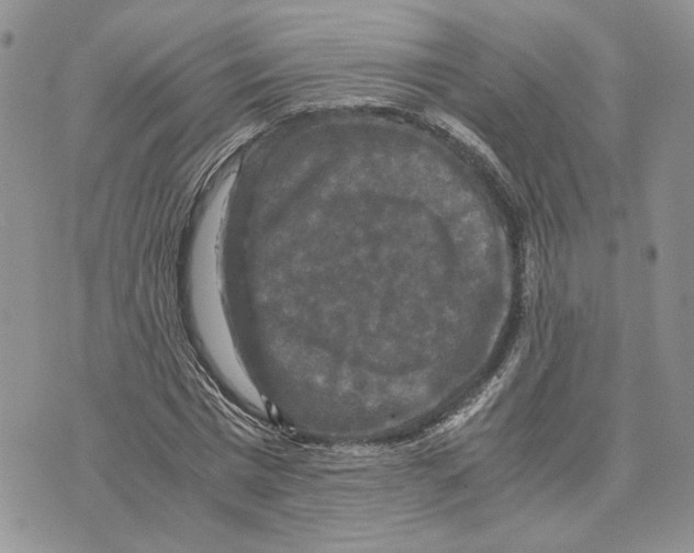 X0000070250777200606301625