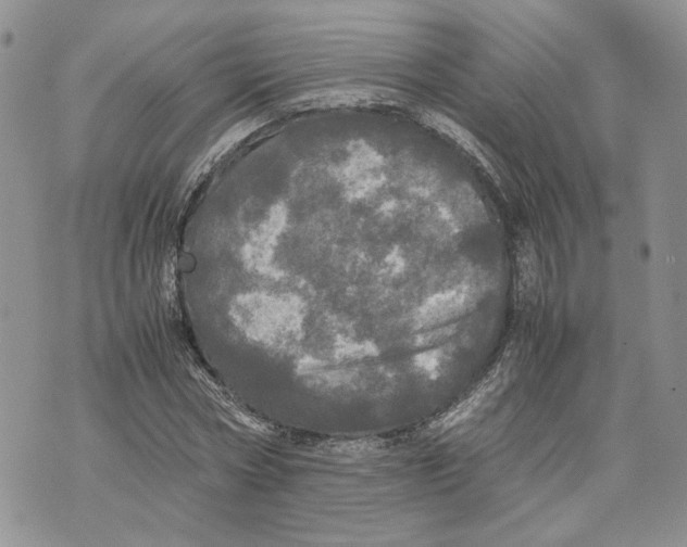 X0000070250778200606301625