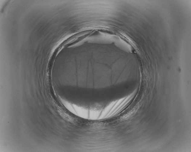 X0000070250779200606301625