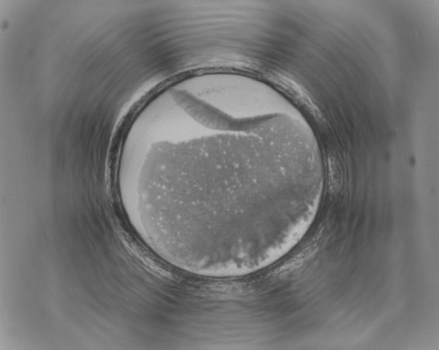 X0000070250780200606301625