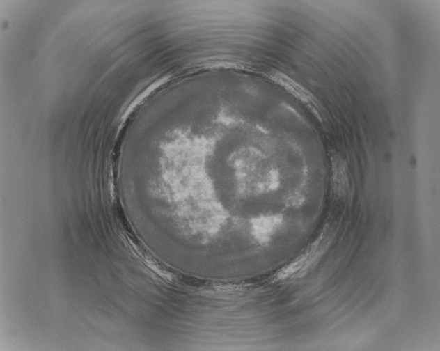 X0000070250782200606301625