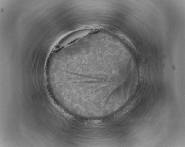 X0000070250784200606301625