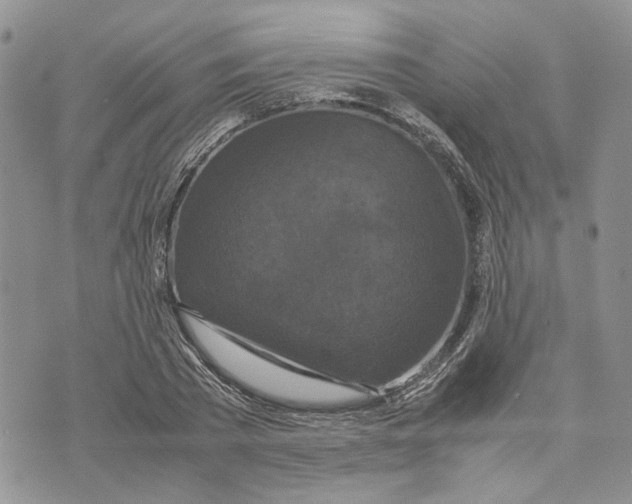 X0000070250785200606301625