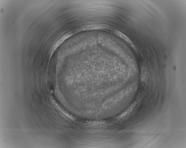 X0000070250786200606301625