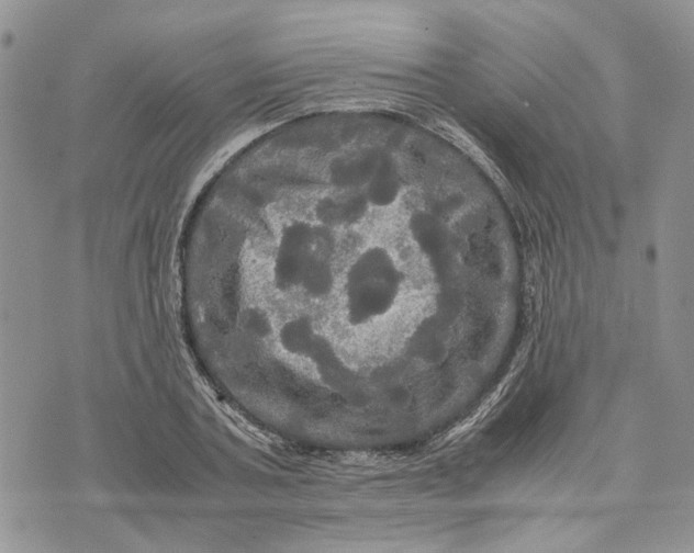 X0000070250787200606301625