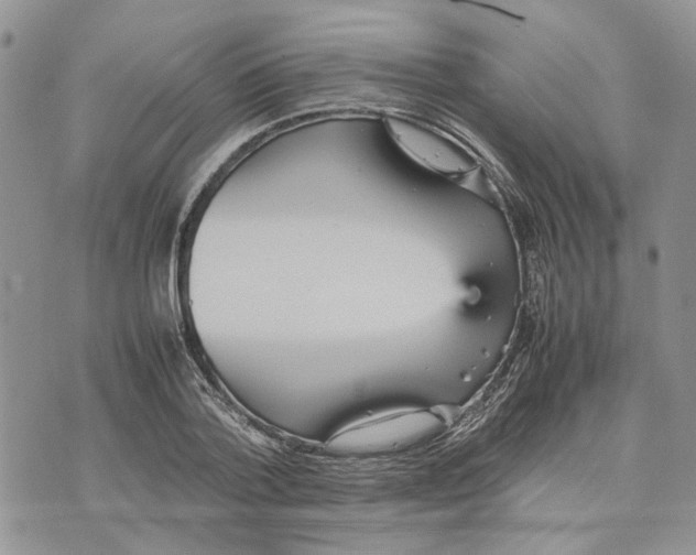 X0000070250788200606301624