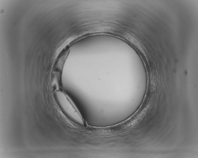 X0000070250789200606301624