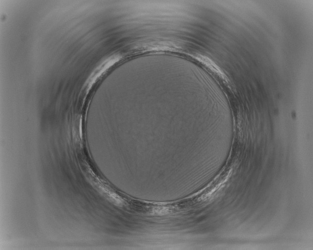 X0000070250790200606301624