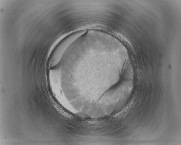 X0000070250792200606301624