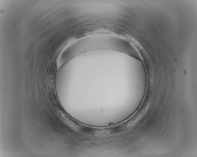 X0000070250793200606301624