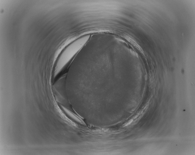 X0000070250797200606301624