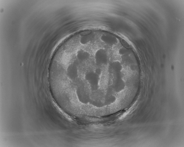 X0000070250799200606301624