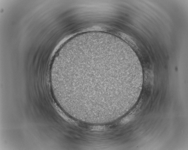 X0000070250800200606301624