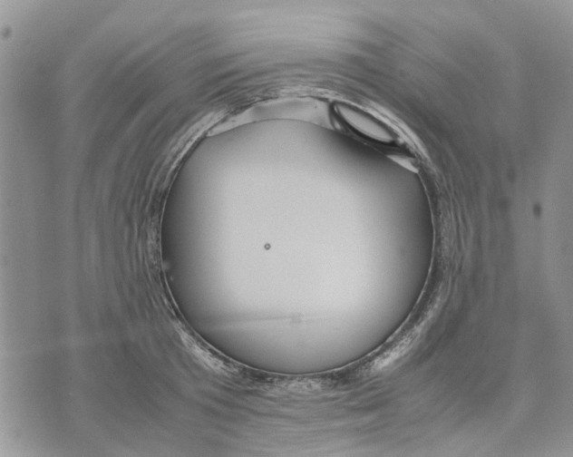 X0000070250801200606301624