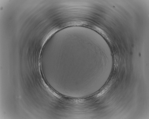 X0000070250802200606301624