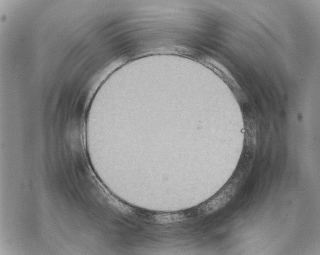 X0000070250804200606301624