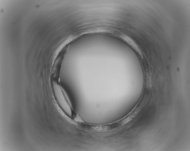 X0000070250805200606301624