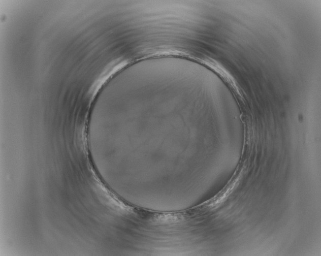 X0000070250806200606301624