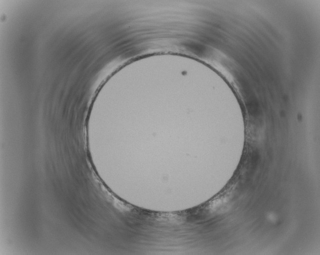 X0000070250807200606301624