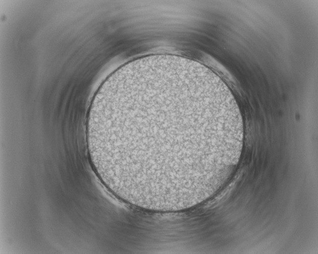 X0000070250808200606301624