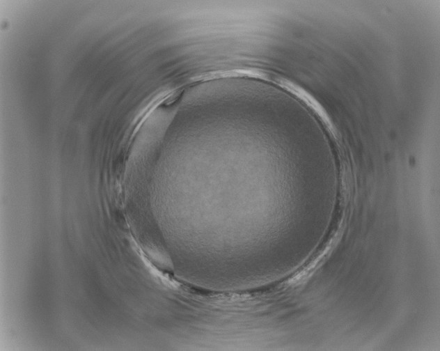 X0000070250809200606301624