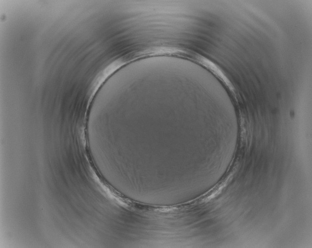 X0000070250810200606301624