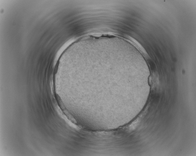 X0000070250812200606301624