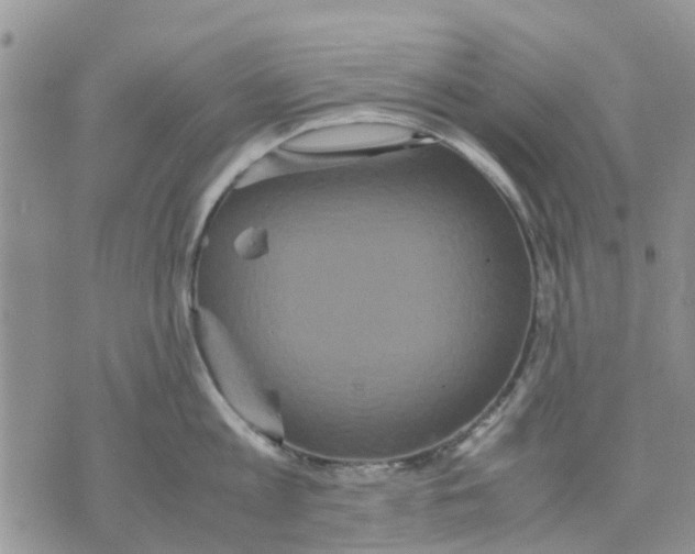 X0000070250813200606301624