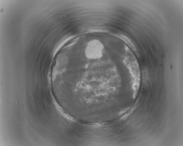 X0000070250814200606301624