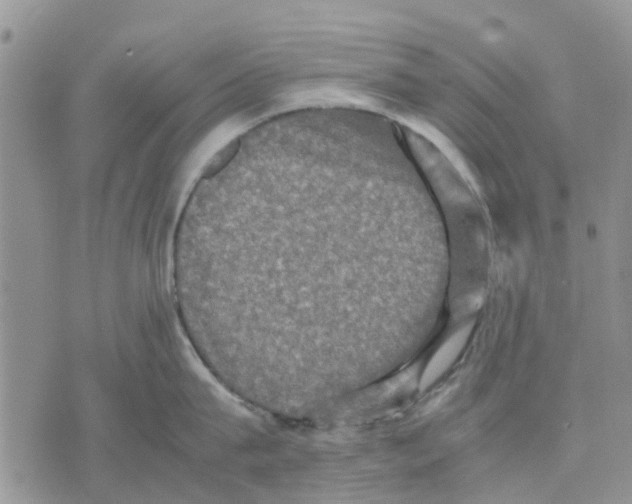 X0000070250815200606301624