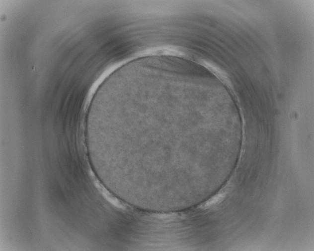 X0000070250816200606301624