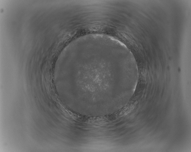 X0000070250817200606301623