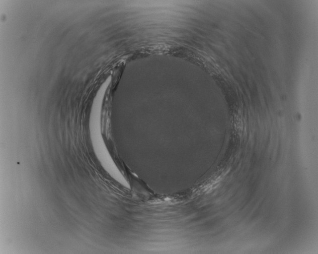 X0000070250818200606301623